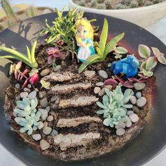 Terrarium Plate of Alice Adventures in Wonderland