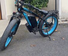 Electric bike
