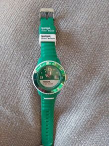 Ice-Watch Pantone Universe Emerald Watch