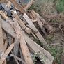 Free If Interested Timber To Collect Image 2