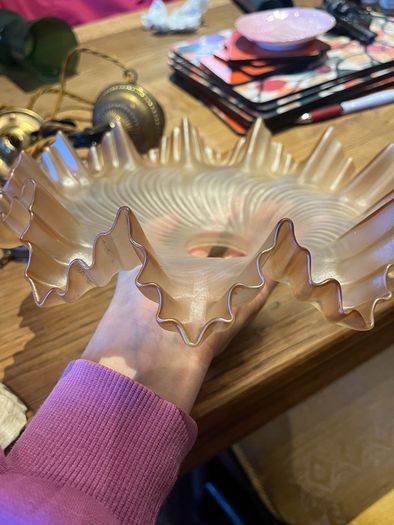 French frosted light shade