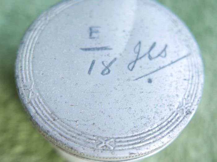Vintage Insects, Hymenoptera in an antique container