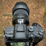 Sony Alpha 7 III + Sigma 24mm F1.4 Image 2