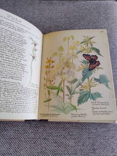 The Country Diary of an Edwardian Lady 1979 by Edith Holden in very good condition with some wear to the dustcover see photos FREE STANDARD POSTAGE INCLUDED