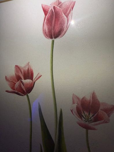 Original Elizabeth A. McEwen RUA - Tulips - Botanical Watercolour