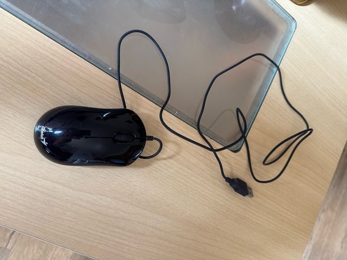 Mice with cable