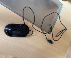 Mice with cable