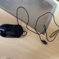 Mice with cable