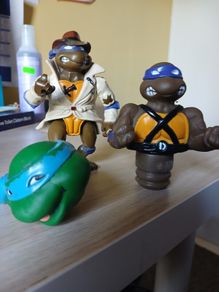 Teenage Mutant Ninja Turtles (TMNT)