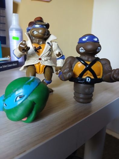 Teenage Mutant Ninja Turtles (TMNT)