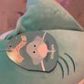 Squishmallow Image 3