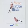 "Garden Basics" by Peter McHoy  2002 hardcover comes with leaflet "More Garden Birds" by Bird Wach Ireland Image 7
