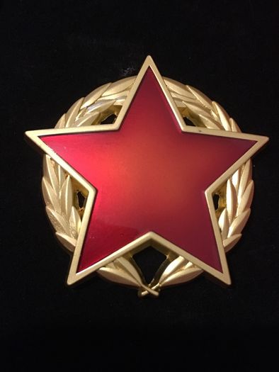 Pin