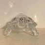 Vintage Crystal Tortoise 1970s Image 3