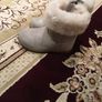 UGG Boots size EU-23:5, UK-6 Image 4