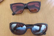 Ray Bans Sunglasses