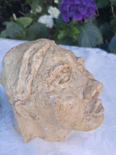 National College of Art Mid Century Paster Of Paris Mounted Bust
