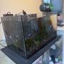 Fish Tank Complete Setup 27L Aquarel Aquarium Image 3