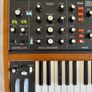 Behringer Poly D Image 8