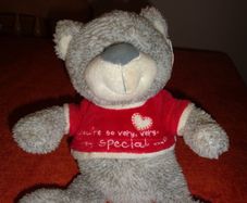 "Cuddle Time" Bear with Red Jumper for Sale