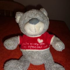 "Cuddle Time" Bear with Red Jumper for Sale