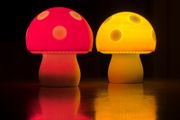 Mushroom Lamp 3D Printed Mushroom Night Light  Handmade