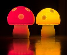 Mushroom Lamp 3D Printed Mushroom Night Light  Handmade