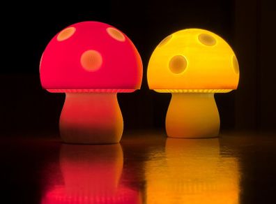 Mushroom Lamp 3D Printed Mushroom Night Light  Handmade