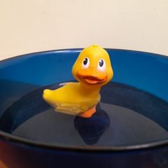 Floating rubber duck