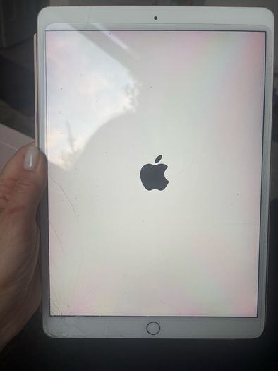 iPad Air 3