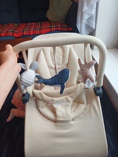 The Ergobaby 3-in-1 Evolve Bouncer