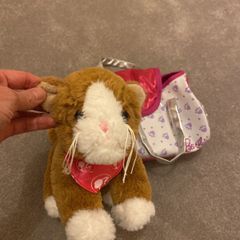 Barbie Cat