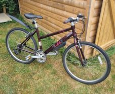 Pendleton Brooke Ladies Bike
