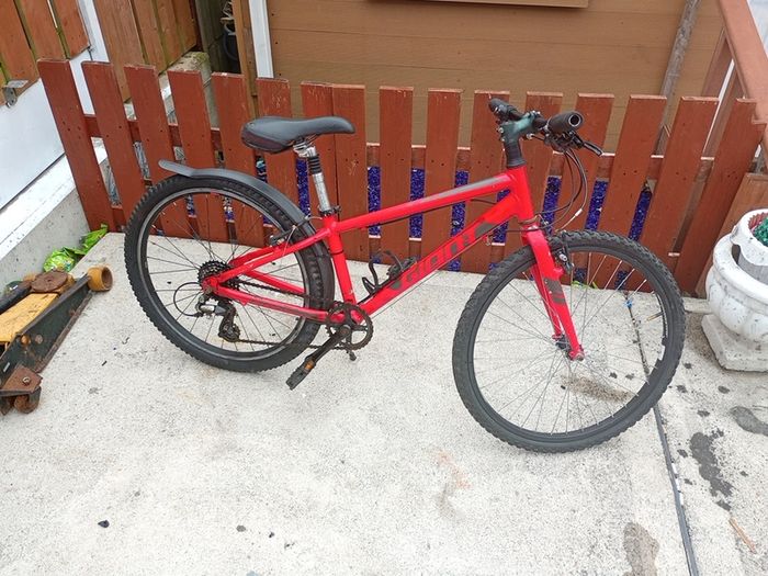 Giant Arx 24 Inch