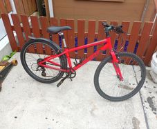 Giant Arx 24 Inch
