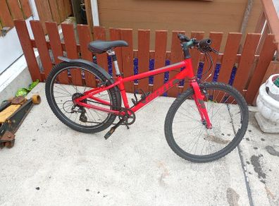 Giant Arx 24 Inch