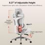 Sihoo Doro C300 Ergonomic Lumbar Support Office Chair Image 3