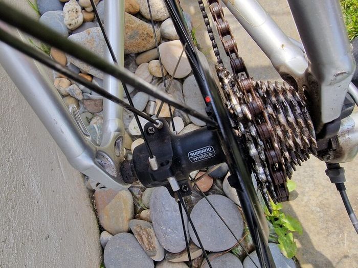 ladies bike