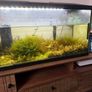 Fish tank with stock (110l) Image 4