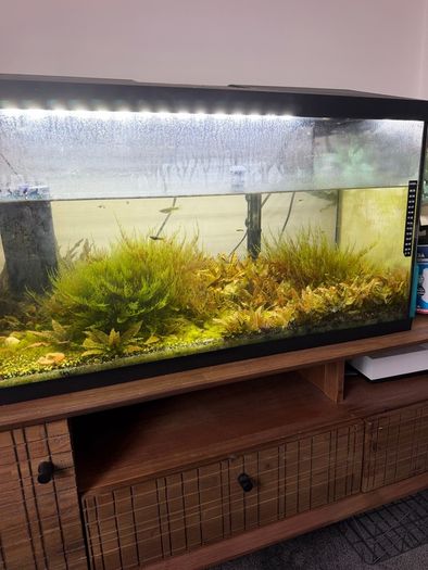 Fish tank with stock (110l)