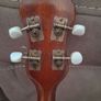 Framus Tenor Banjo. Image 5