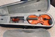 Violin