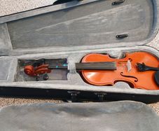 Violin