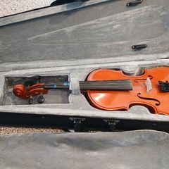 Violin