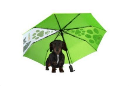 New compact umbrellas x2