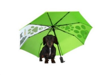 New compact umbrellas x2