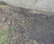 free top soil