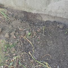 free top soil