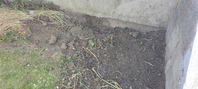 free top soil