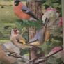 Country Birds jigsaw puzzle 1000 pcs Image 4